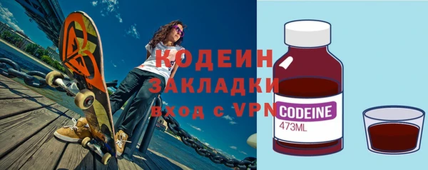 хмурый Пересвет