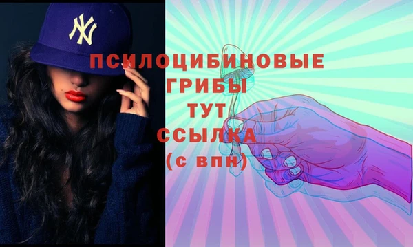 каннабис Верея