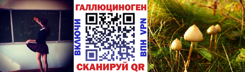 Псилоцибиновые грибы ЛСД  Кодинск 